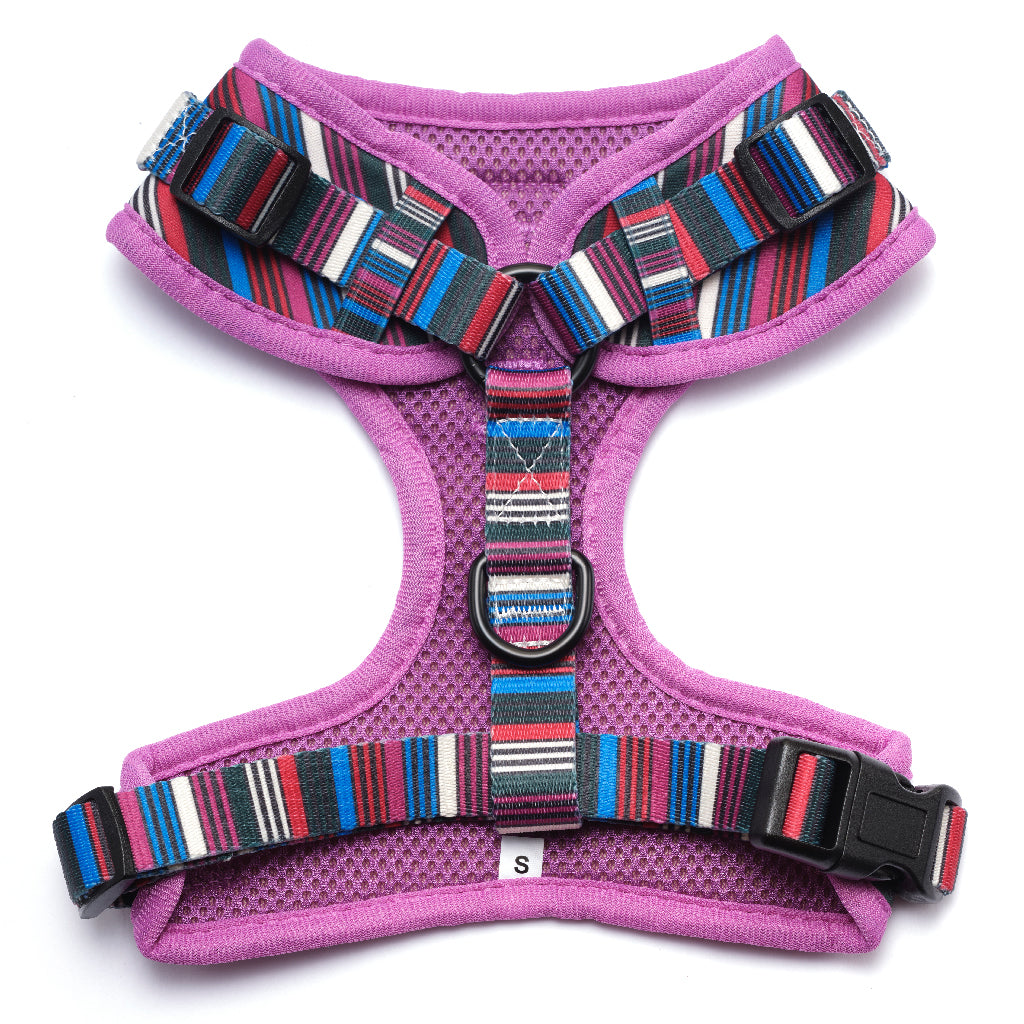 Retro Stripe Harness - Purple