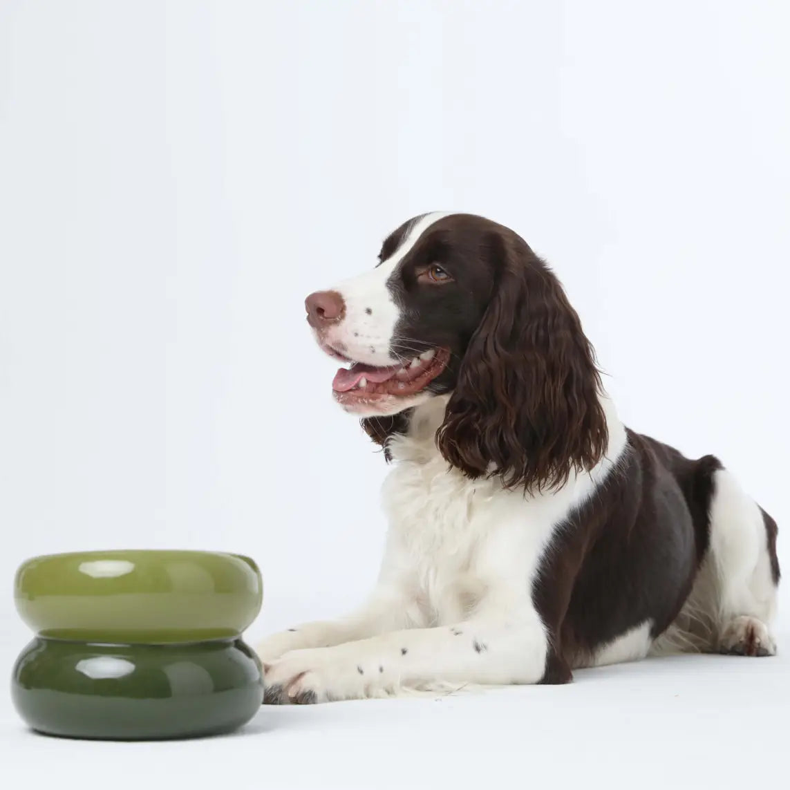 Soufflé Pet Bowl - Avocado Green