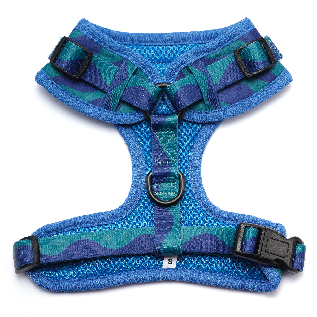 Loop Harness - Blue