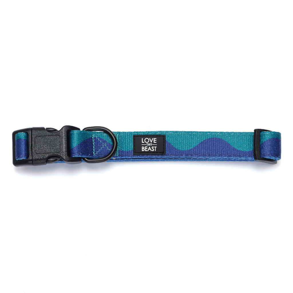 Loop Collar - Blue