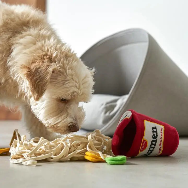 Ramen Noodle Toy