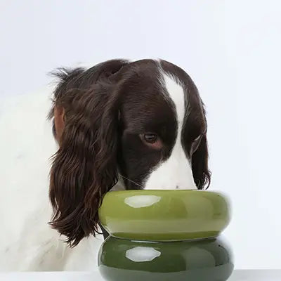 Soufflé Pet Bowl - Avocado Green