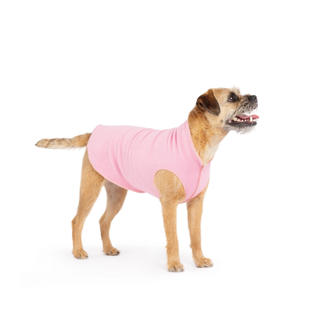 Stretch Fleece - Rose