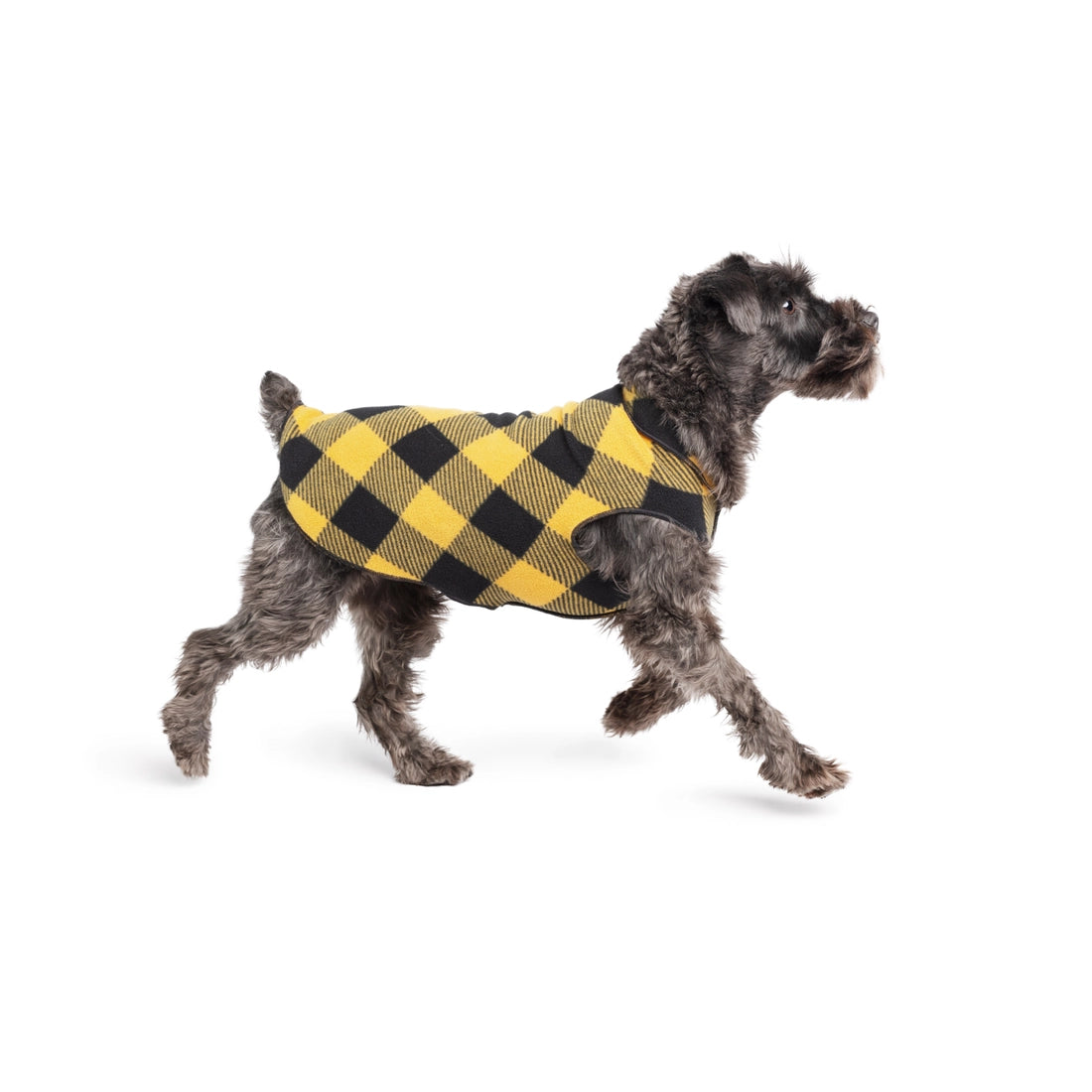 Stretch Fleece - Gold Buffalo Check