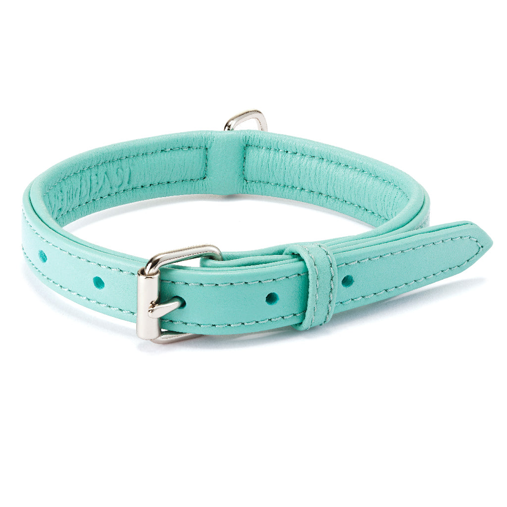 Aqua Leather Collar