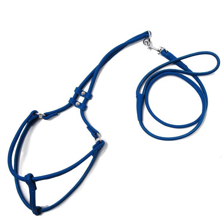 Rolled Leather Step In Harness - Blue