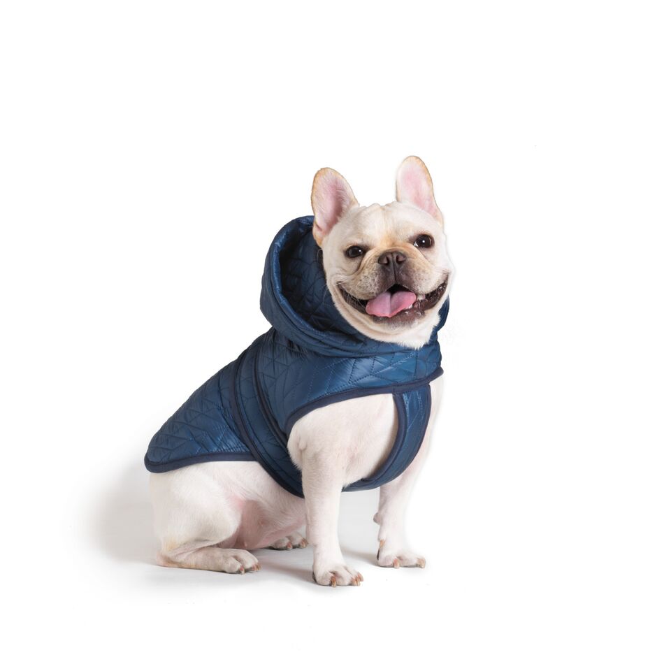 water repellent blue quilted nylon puffer dog winter jacket with a hood and harness hole opening