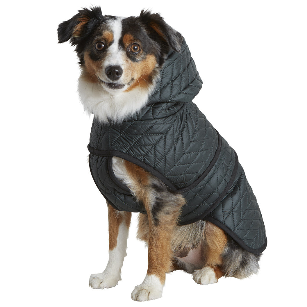water resistant forest green quilted nylon puffer dog jacket with lining a hood and harness hole