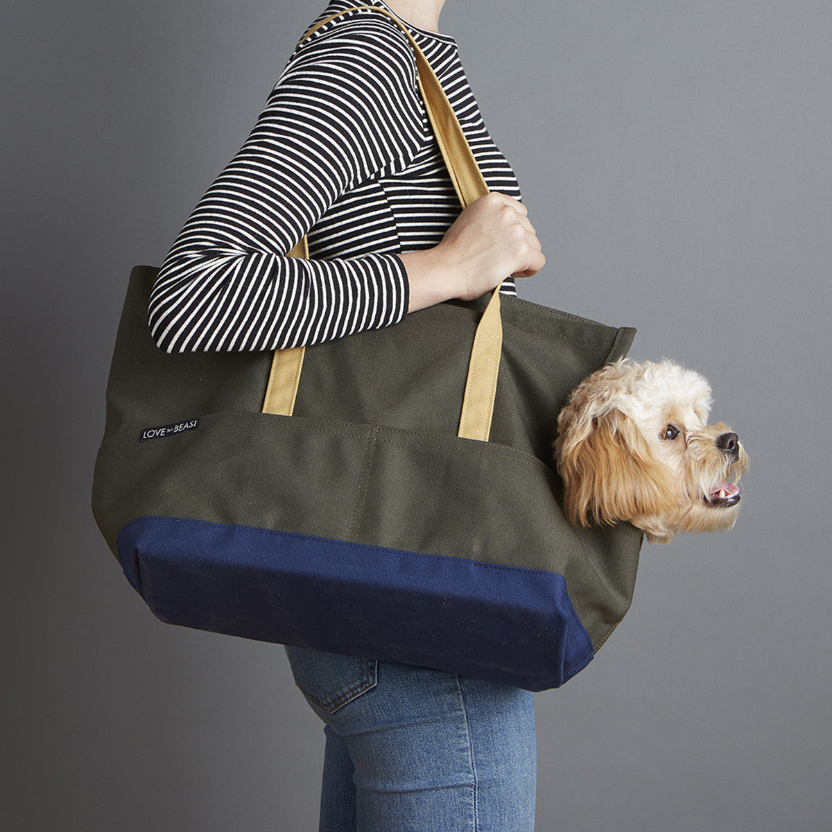 Olive and navy canvas pet carrier for puppy