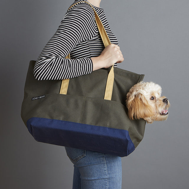 Olive and navy canvas pet carrier for puppy
