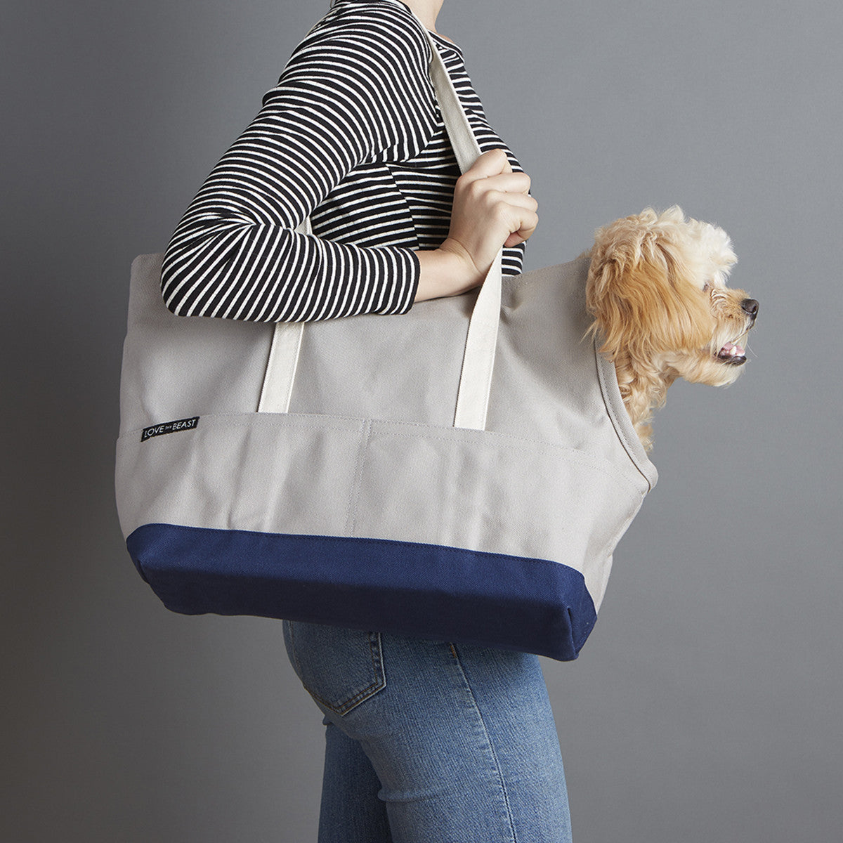 grey and navy canvas dog bag carrier for subway