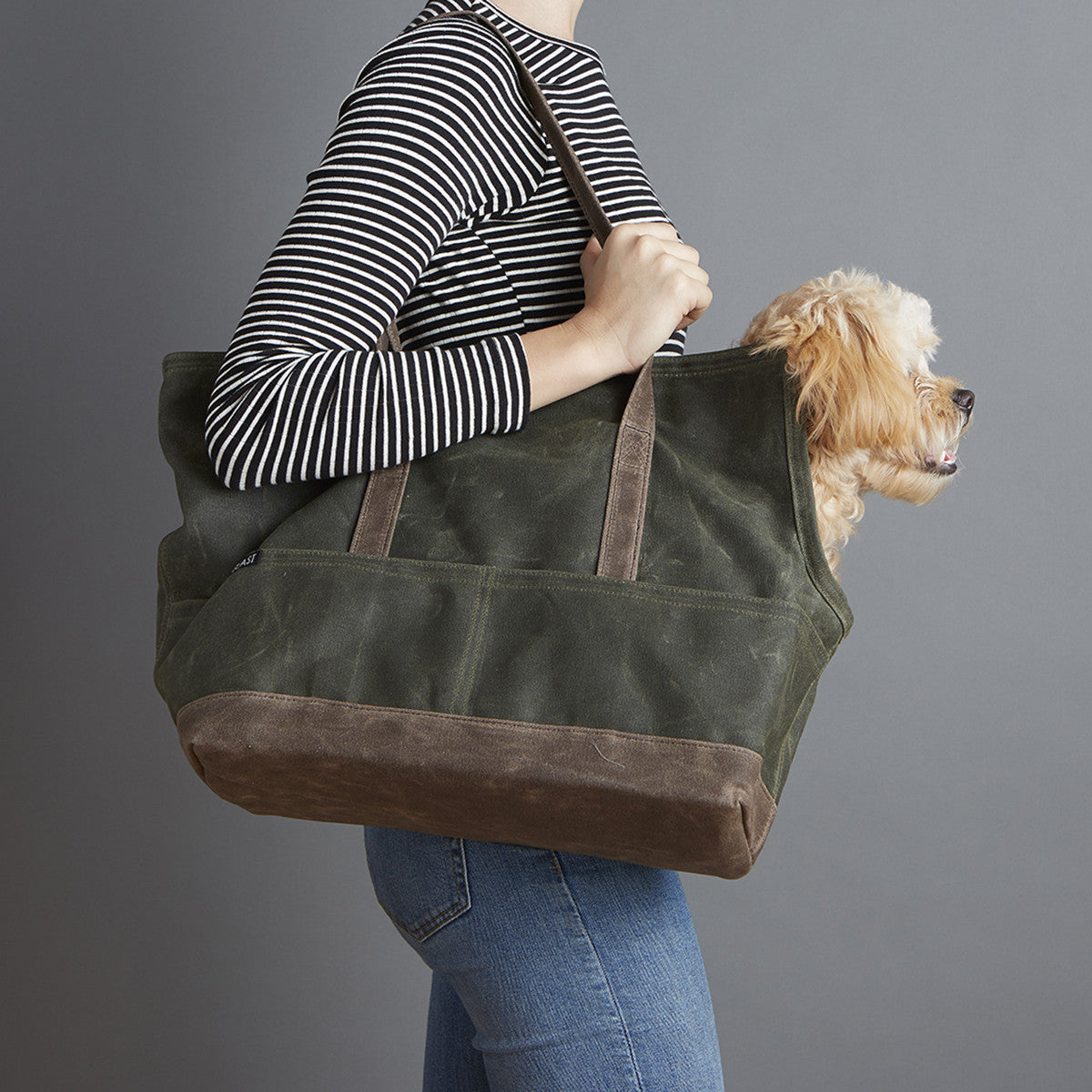 waxed canvas olive and oak pet carrier with leash attachment