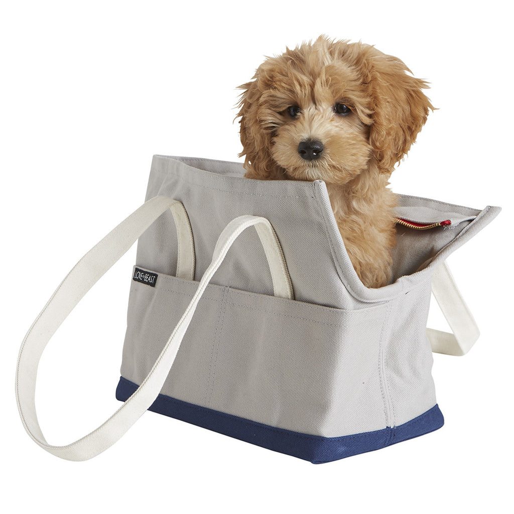 size small canvas travel carrier tote with head hole for small dogs 