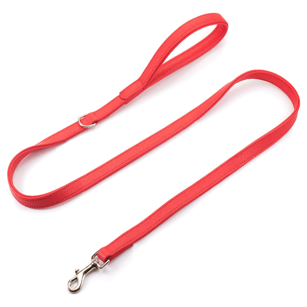 Red Leather Leash