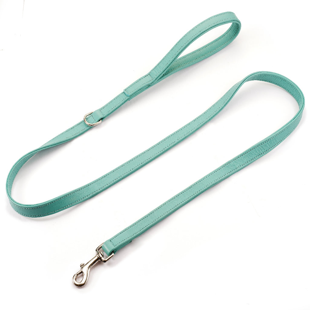 Aqua Leather Leash