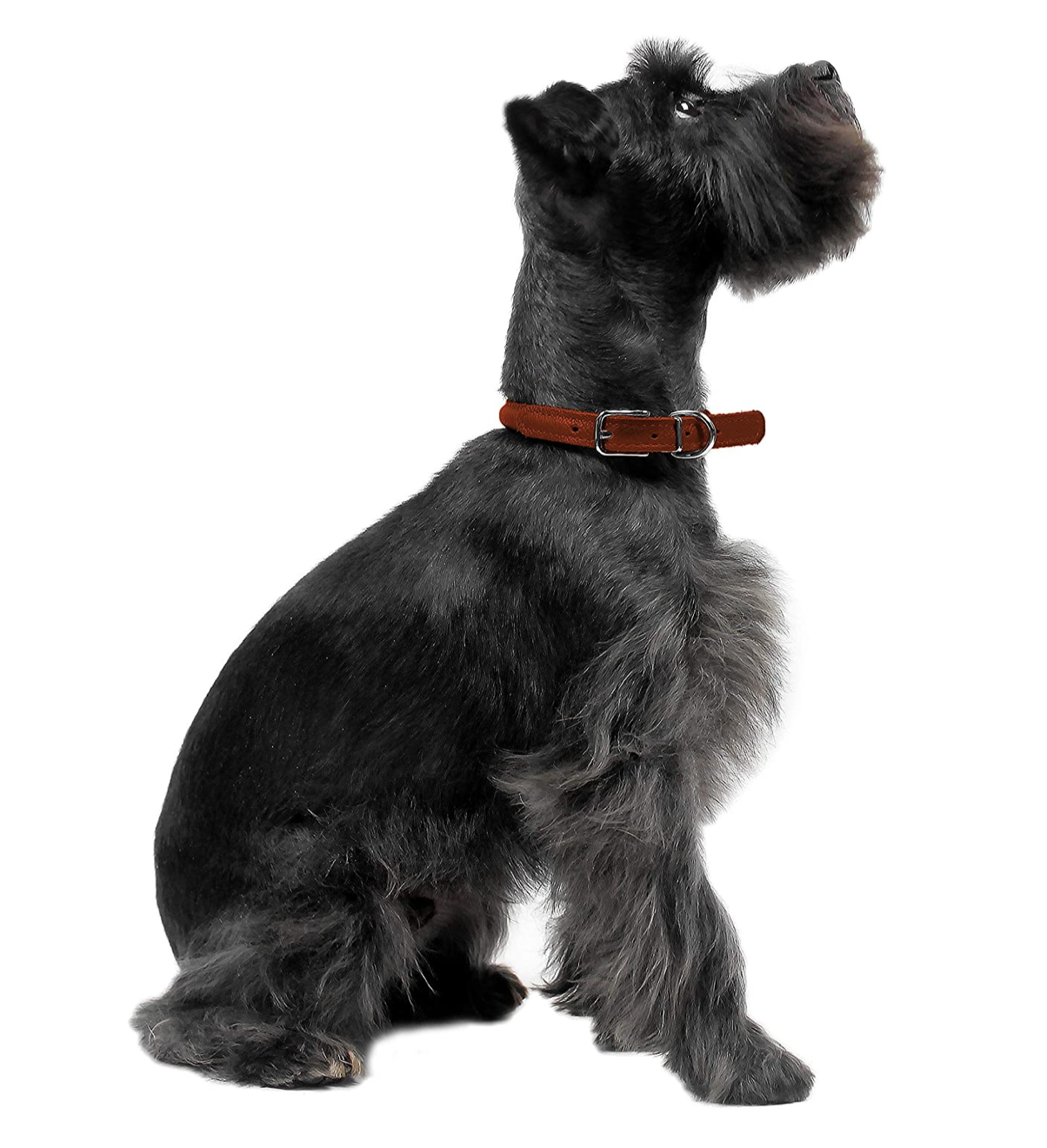 Rolled Leather Collar - Orange