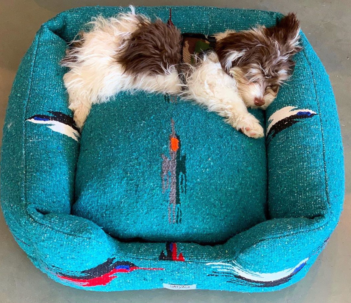 Thunderbird Bumper Bed - Teal