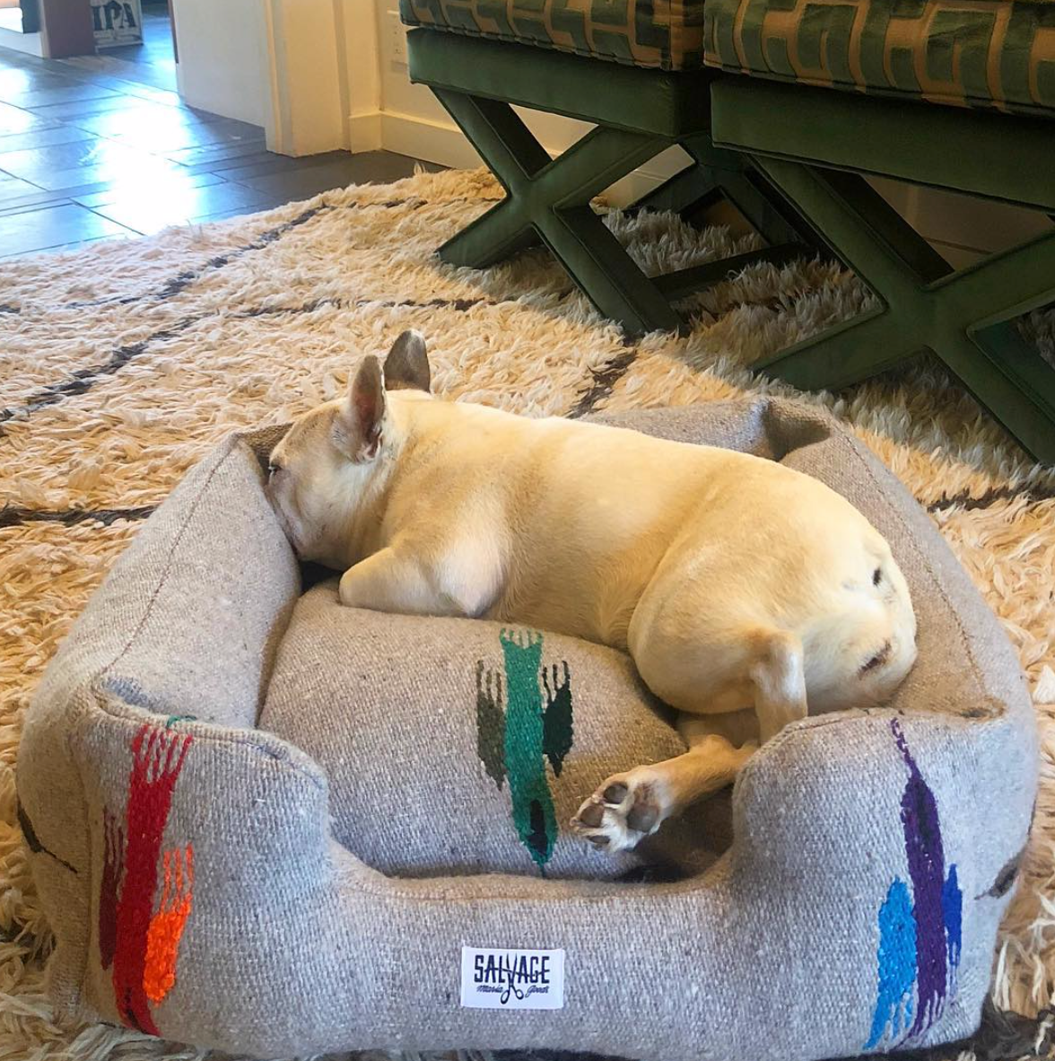 Thunderbird Bumper Bed - Grey