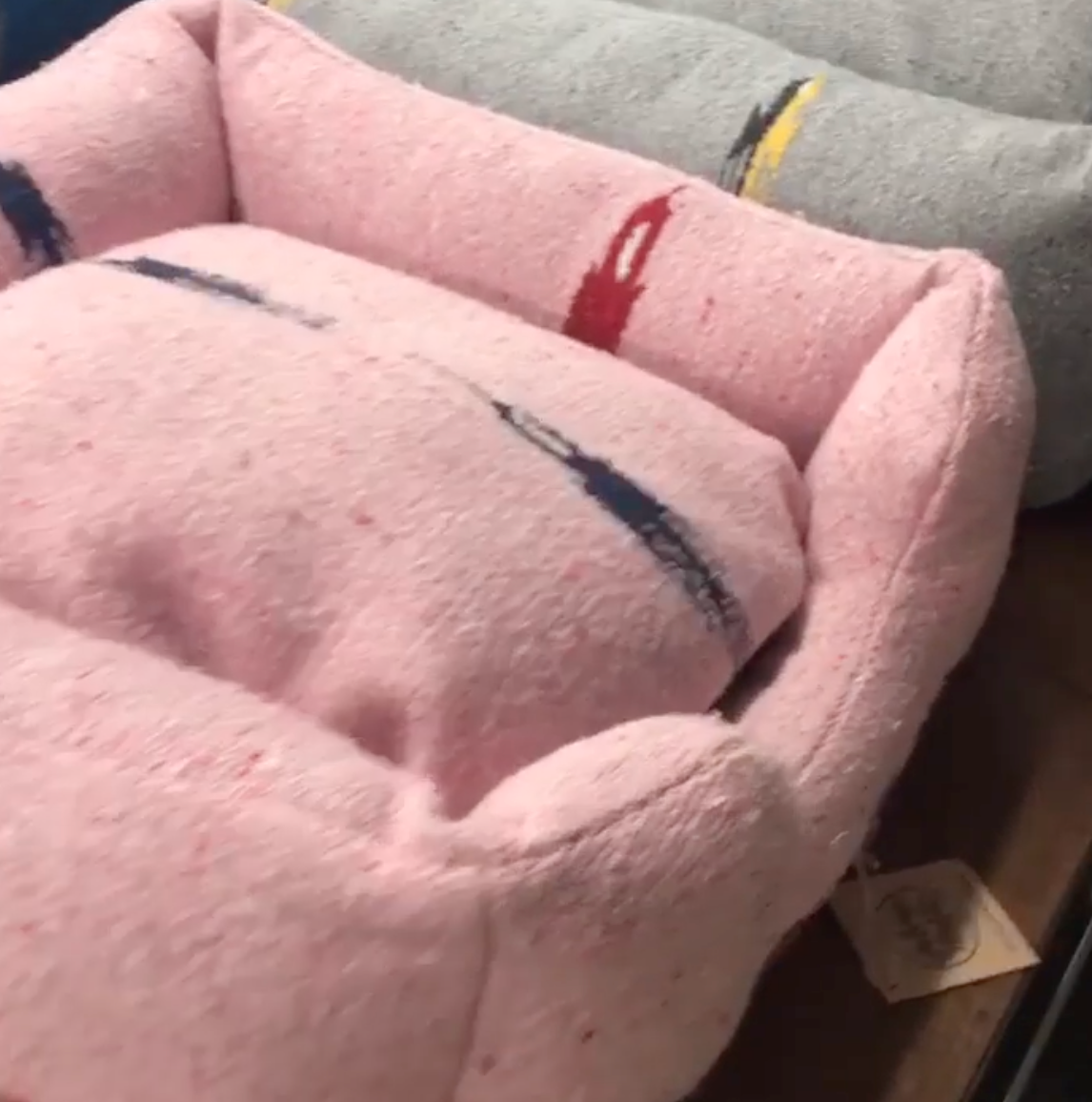 Thunderbird Bumper Bed - Pink