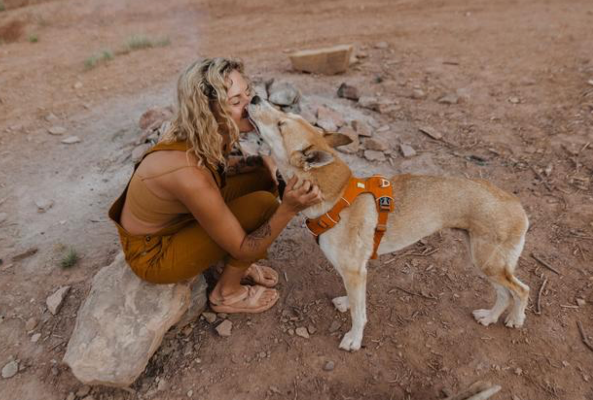 Front Range Harness - Campfire Orange