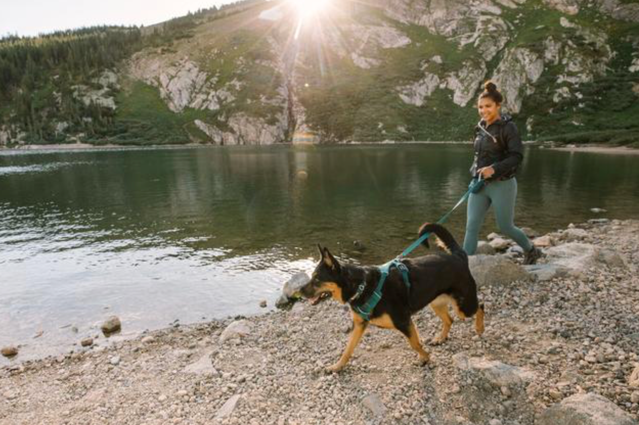 Front Range Harness - Tumalo Teal