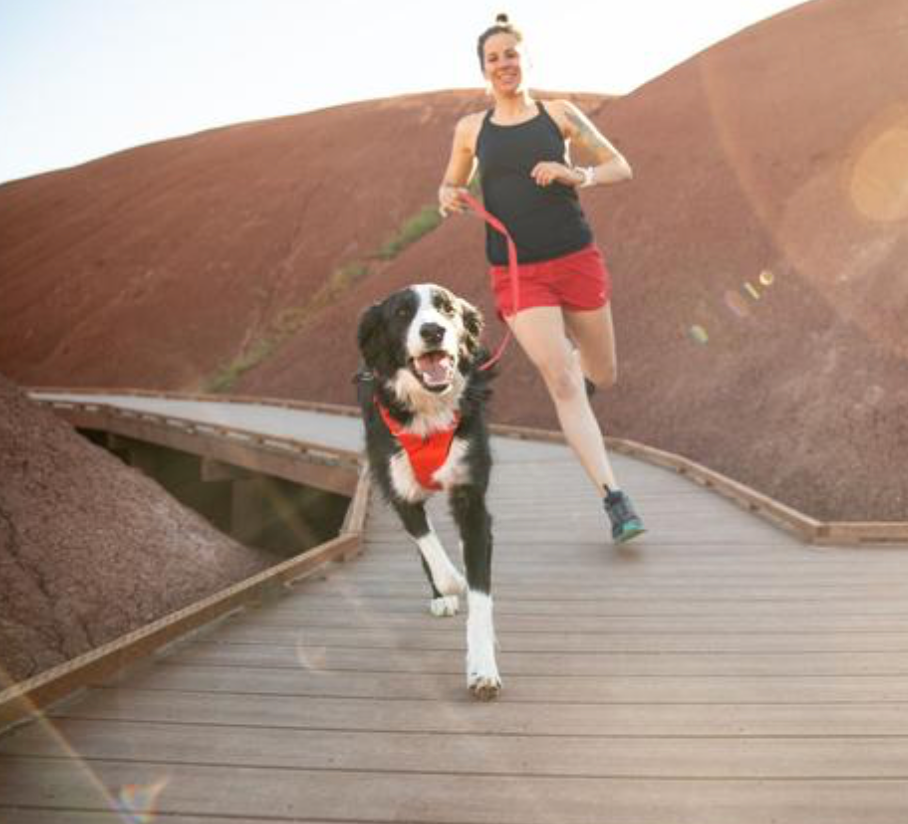 Front Range Harness - Red Sumac