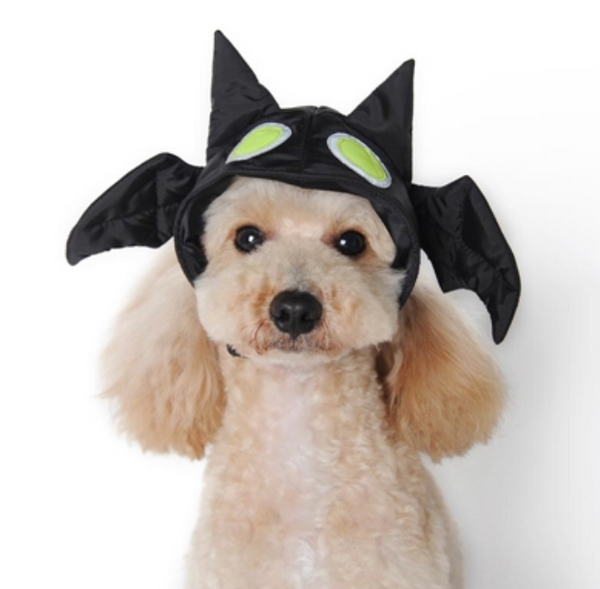 Glow Bat Dog Hat