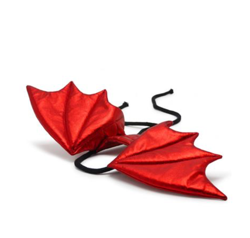 Dragon Wings Costume