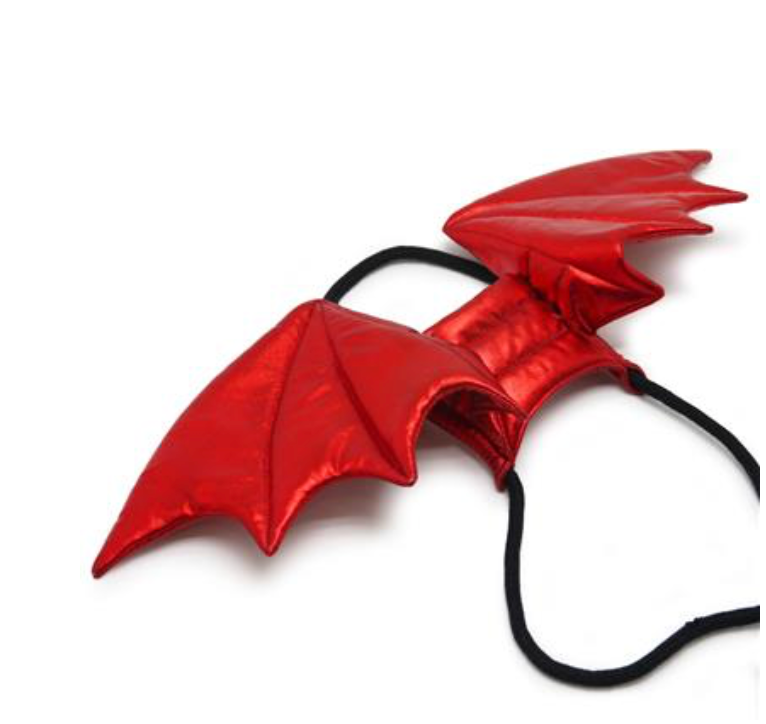 Dragon Wings Costume