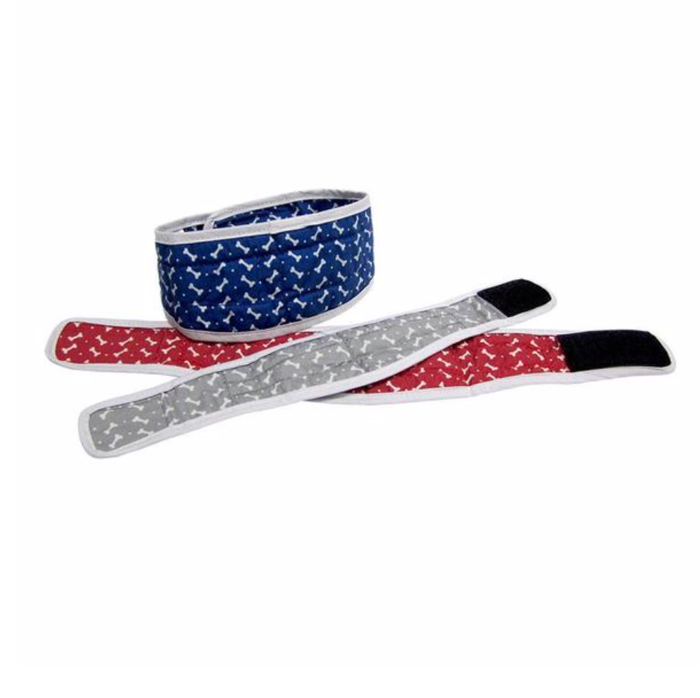 Cooling Collar - 3 Sizes!