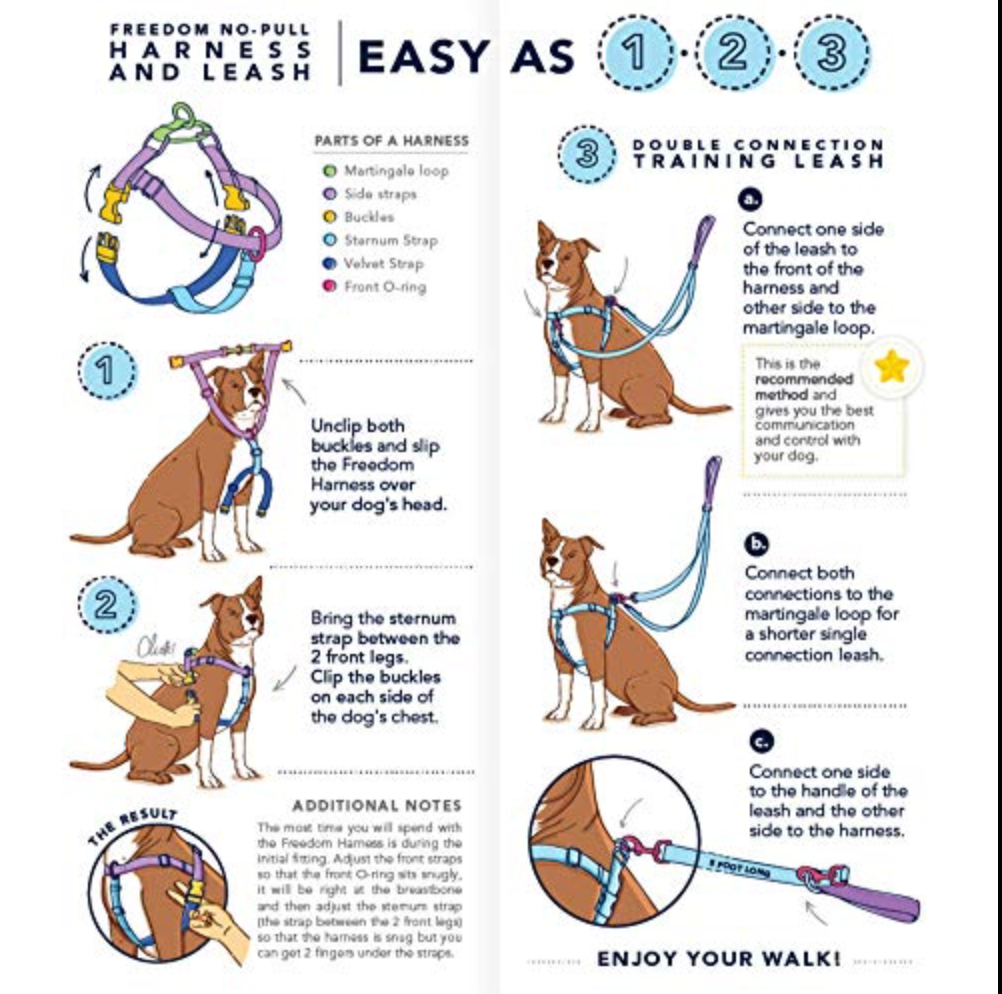 Jelly Bean Sugar Freedom Harness & Leash