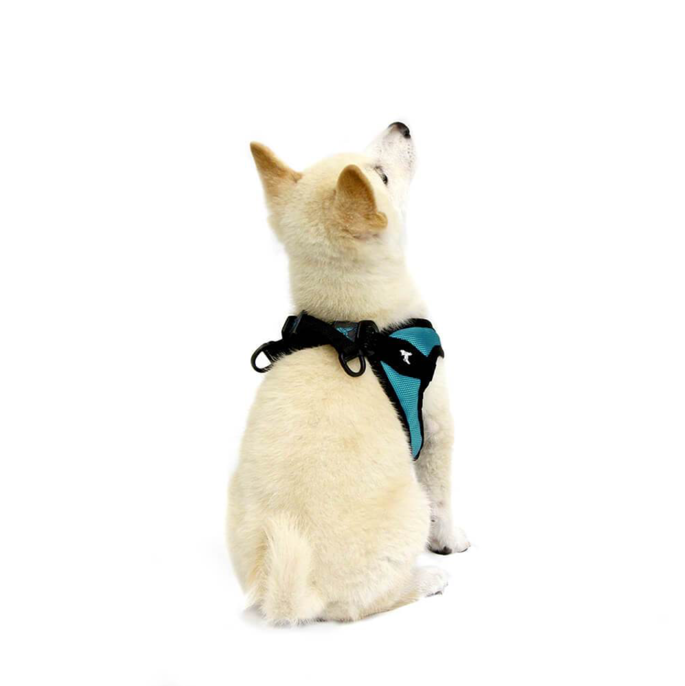 Escape Free, Easy Fit Harness - Teal