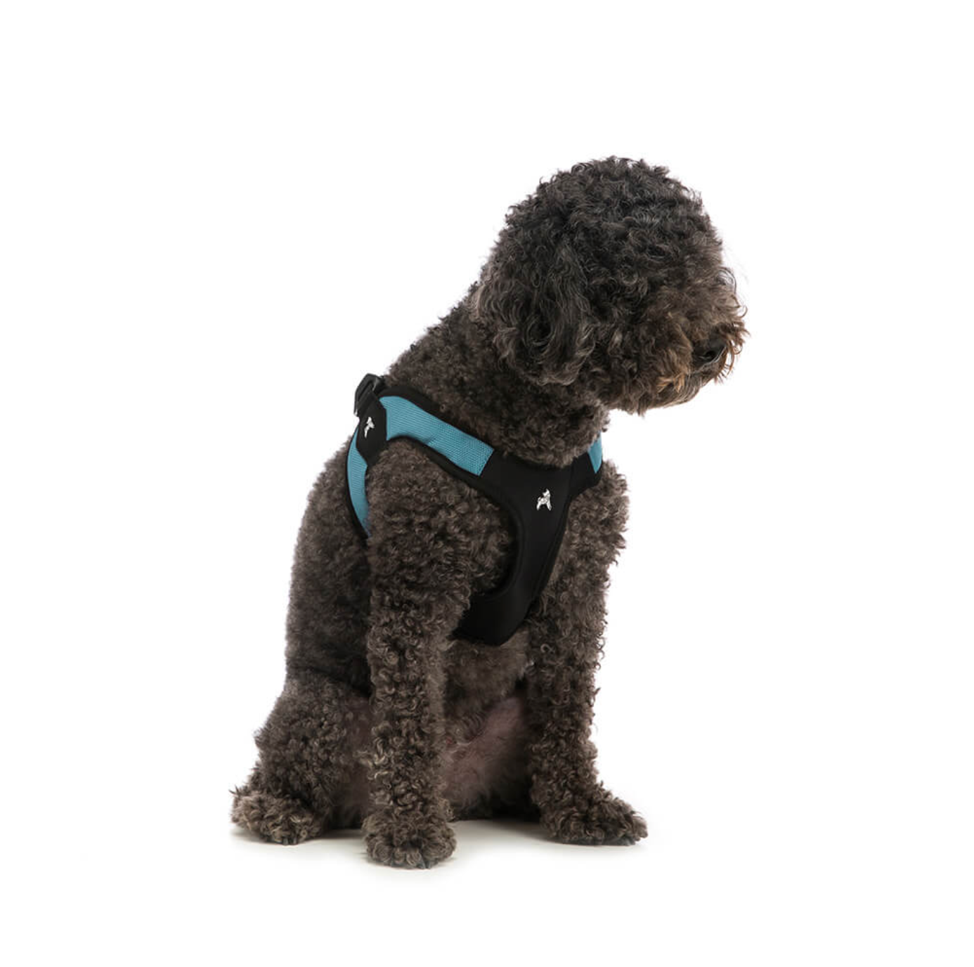 Escape Free, Easy Fit Harness - Teal