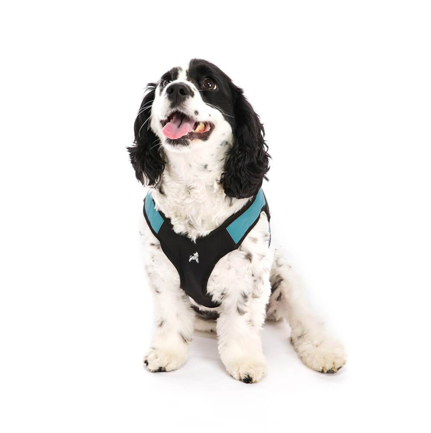 Escape Free, Easy Fit Harness - Teal