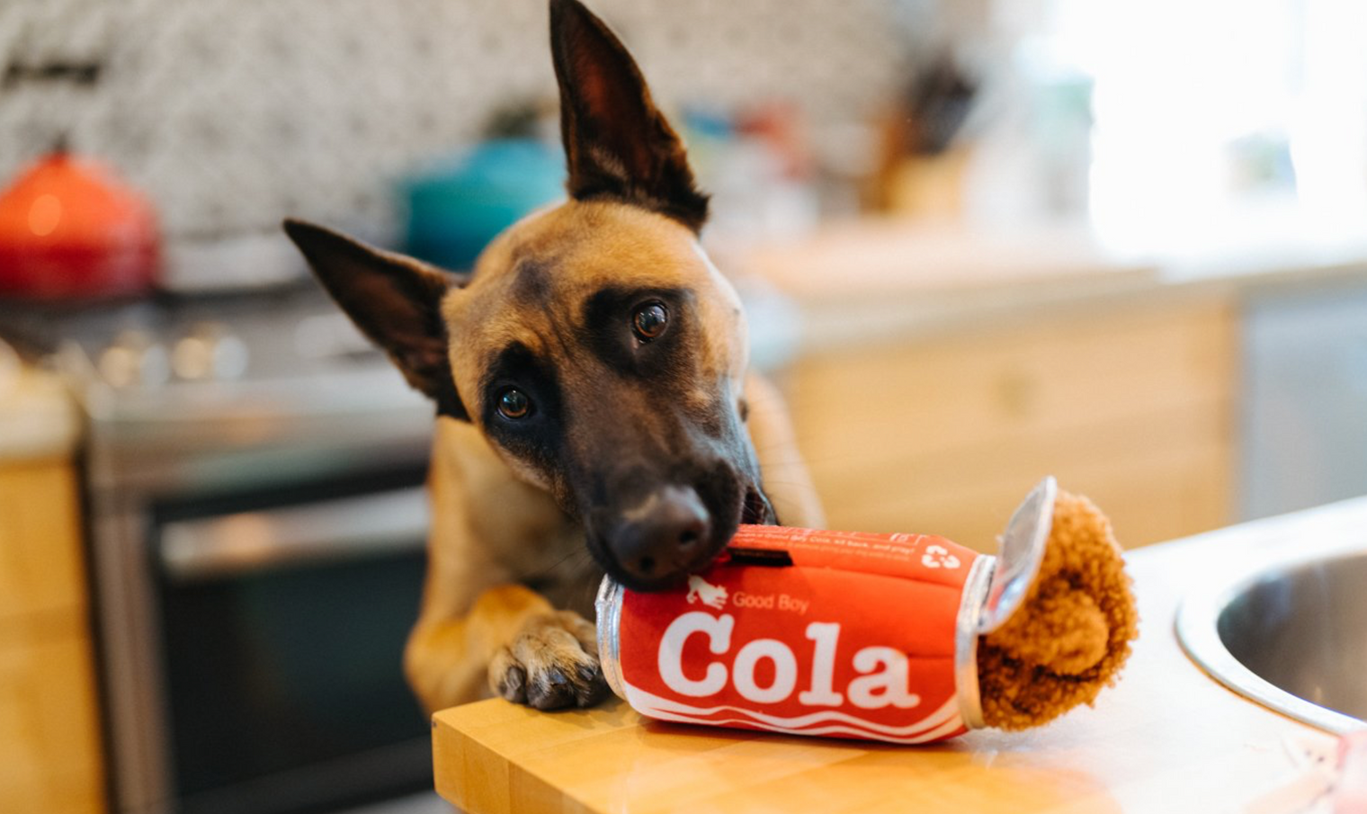 Fizzy Cola Plush Toy