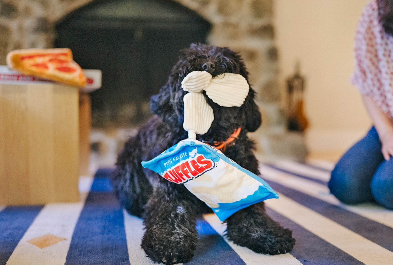 Fluffles Chips Plush Toy