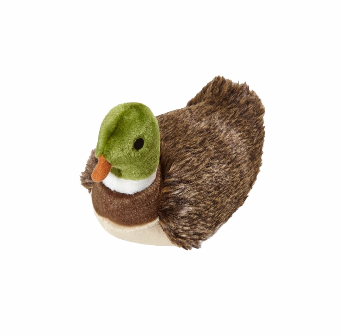 Morley the Mallard Duck