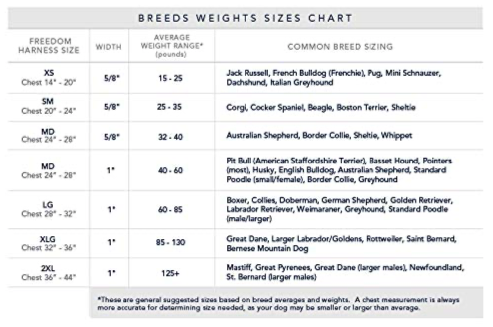 Neon Orange Freedom Harness & Leash