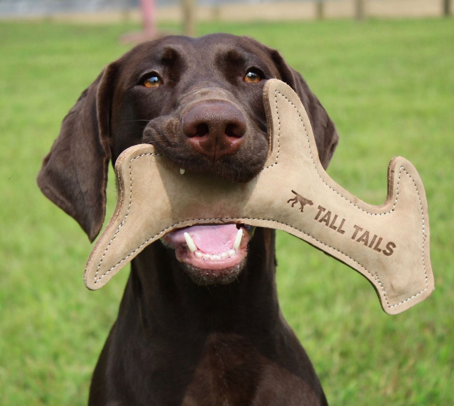Suede Antler Toy