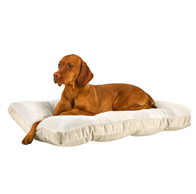 Dream Futon Bed - Cloud