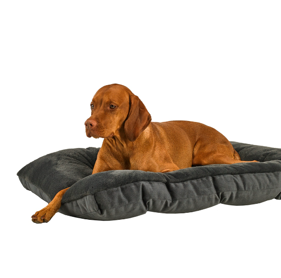 Dream Futon Bed - Galaxy