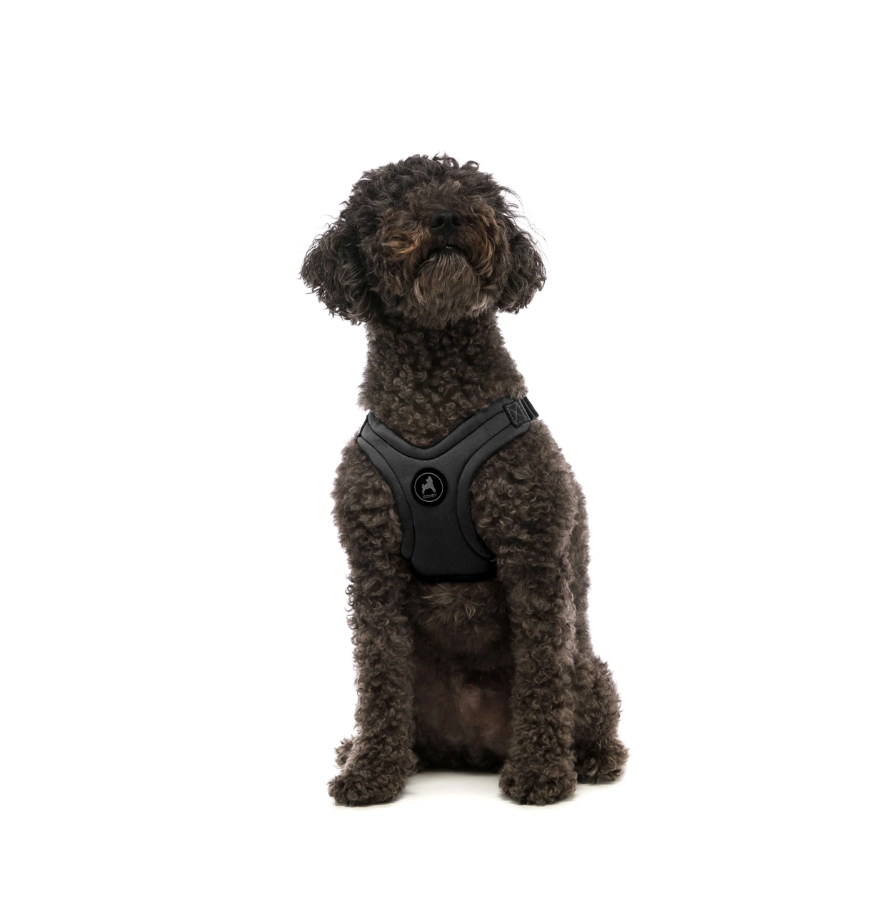 Escape Free, Sport Fit Harness - Black