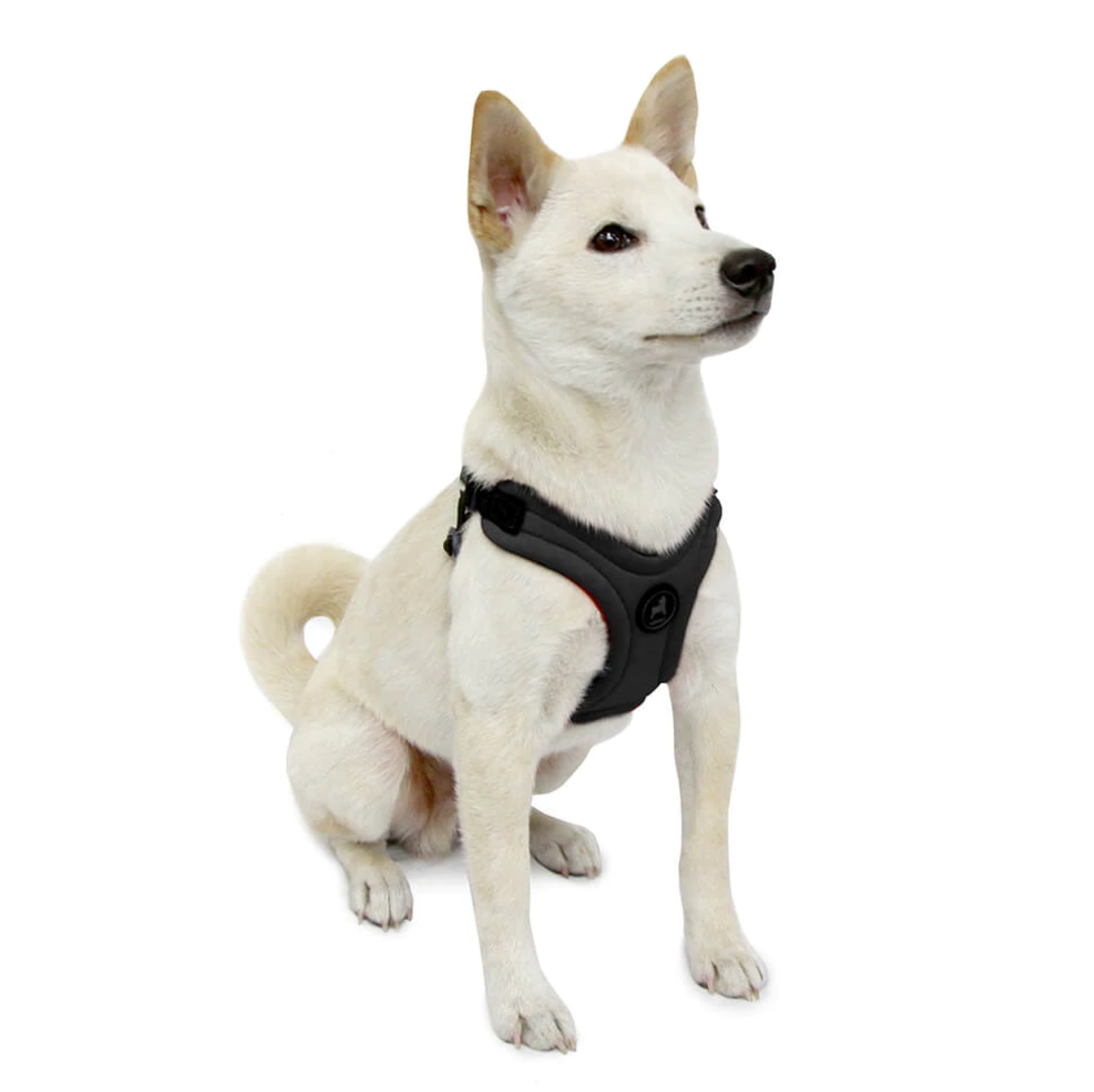 Escape Free, Sport Fit Harness - Black