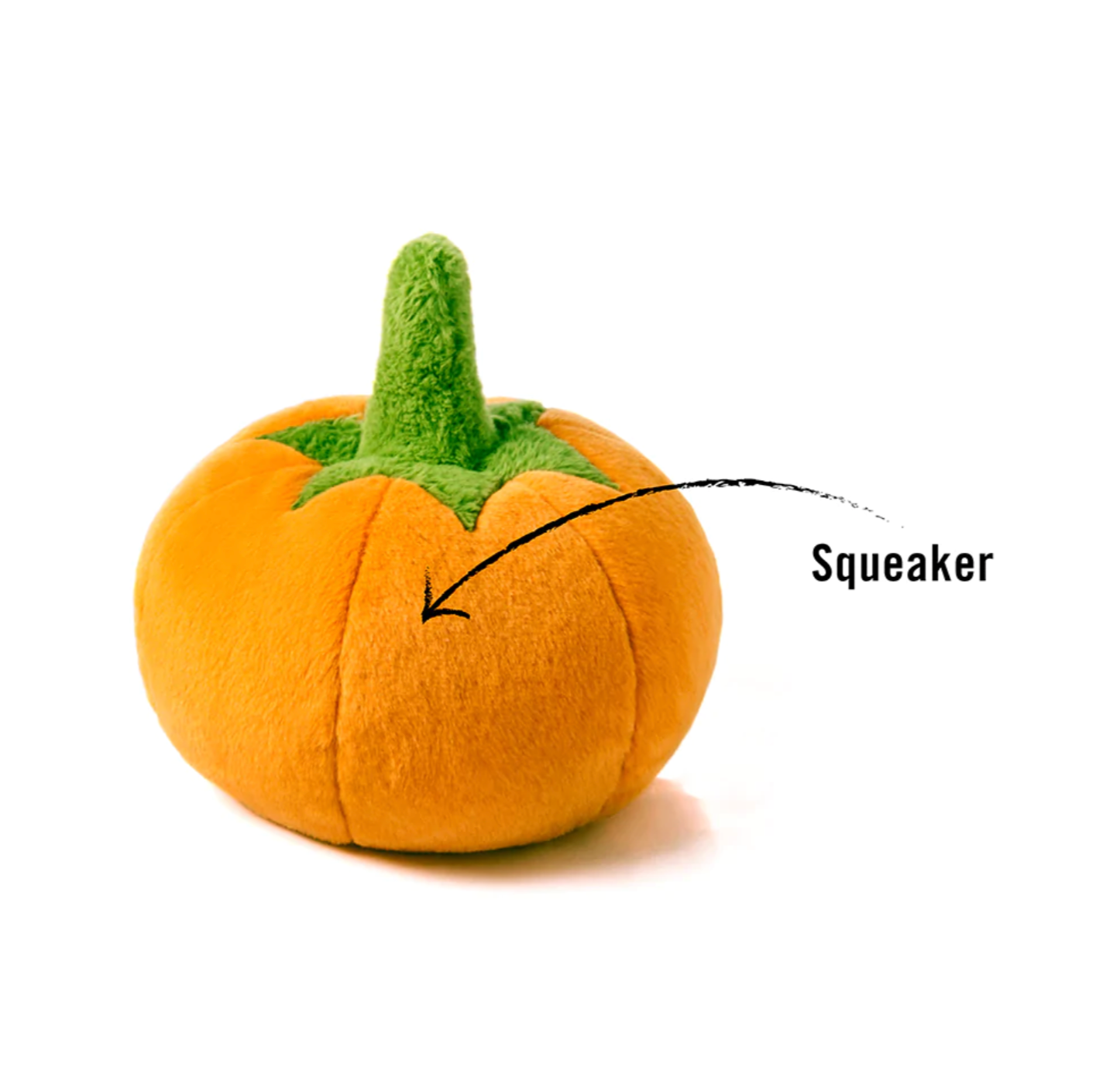 Garden Fresh Pumpkin