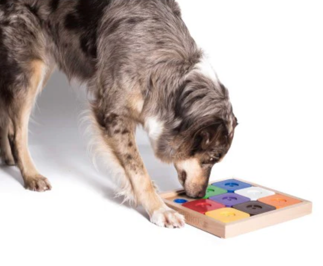 Dog SUDOKU Expert Puzzle Rainbow