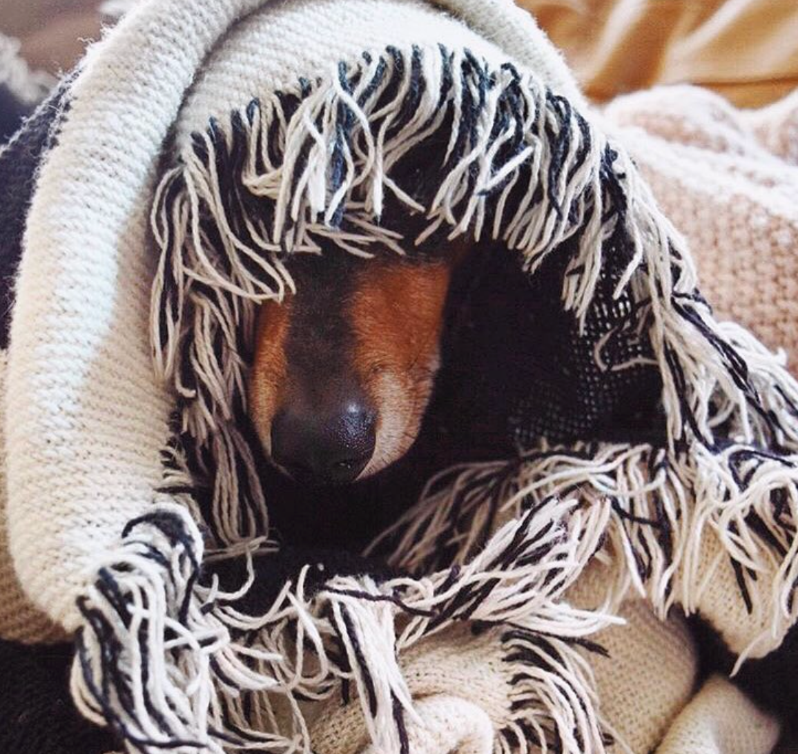 GOOD AT NAPS Throw Blanket