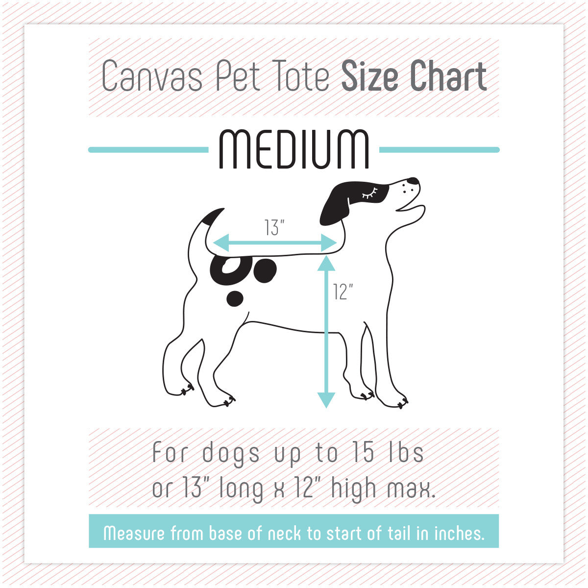 Canvas Pet Tote Navy & Red