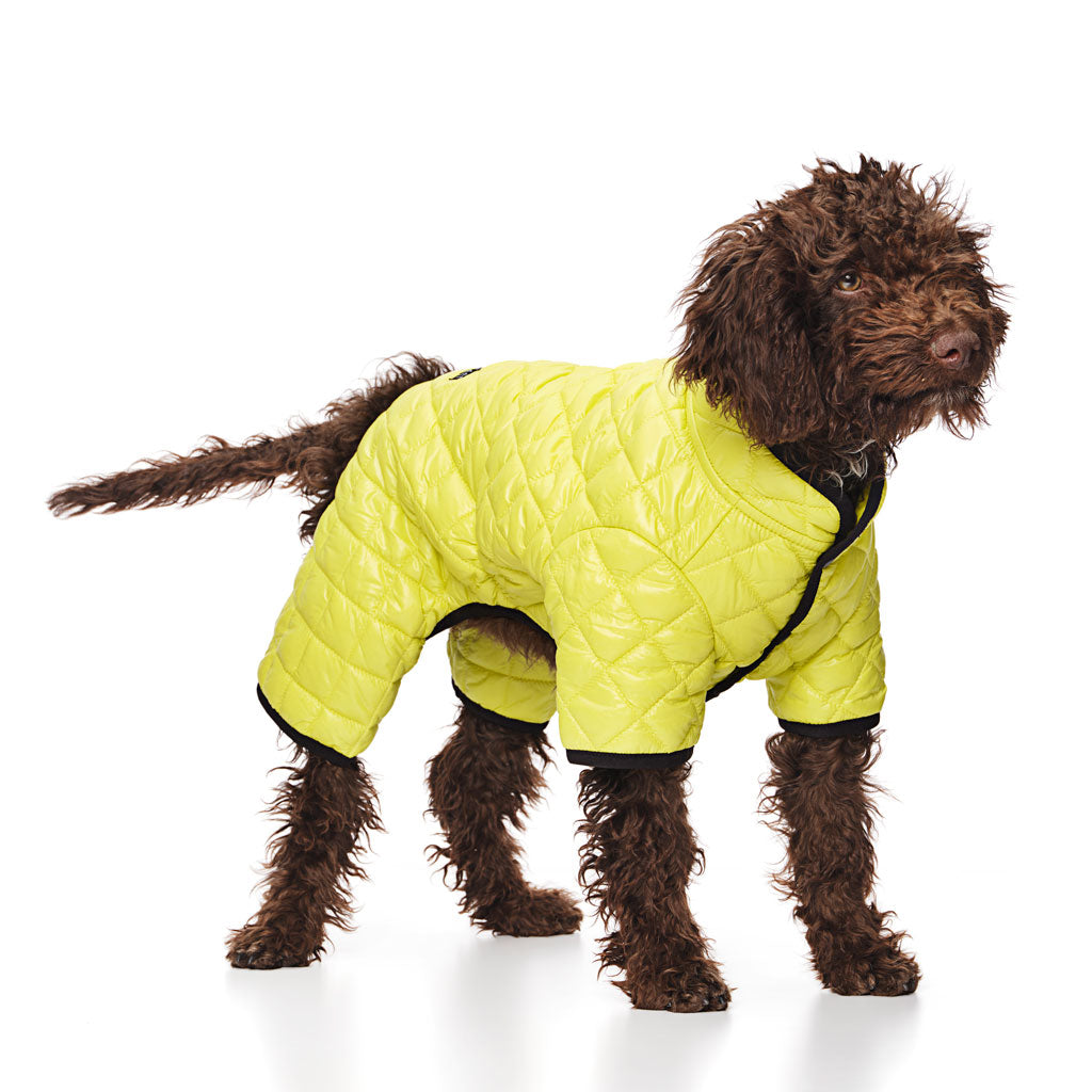 Highlighter Quilted Puffer Snowsuit