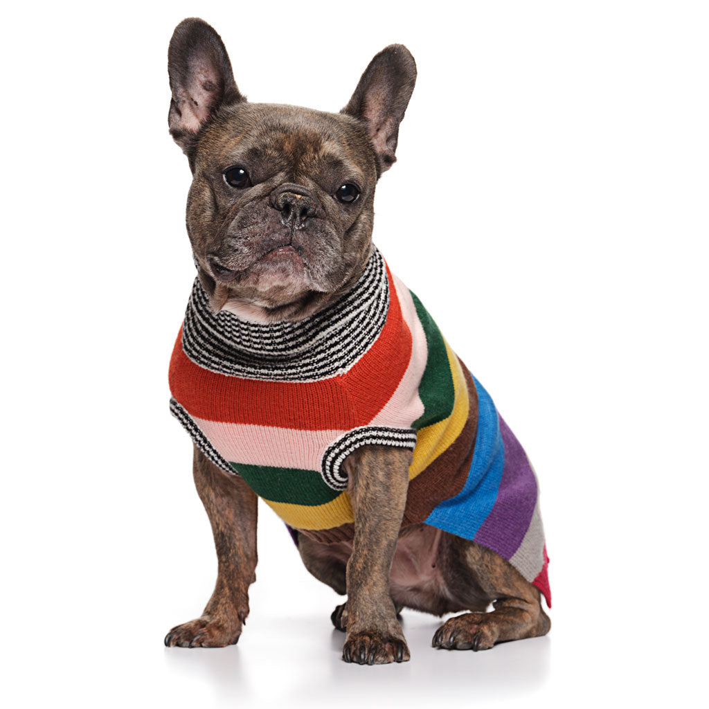 Rainbow Stripe Merino Wool Knit Sweater