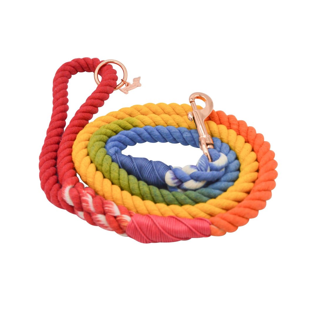 Rope Leash - Rainbow